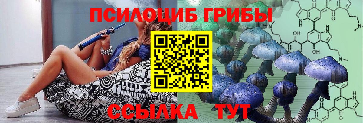 Галлюциногенные грибы мицелий Краснодар